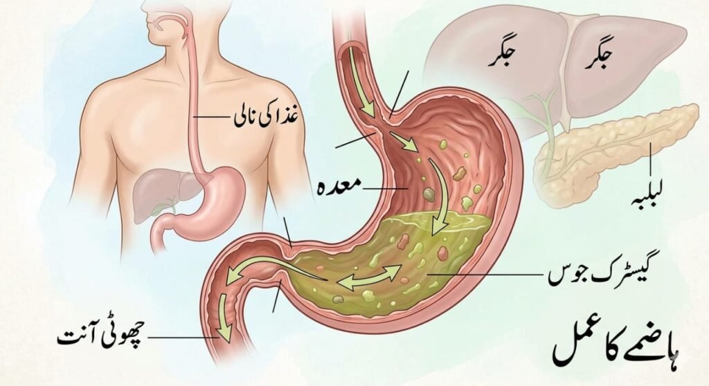 whatsapp image 2026 03 10 at 11.43.10 pm